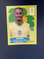 Panini FIFA World Cup Sticker BRA 19